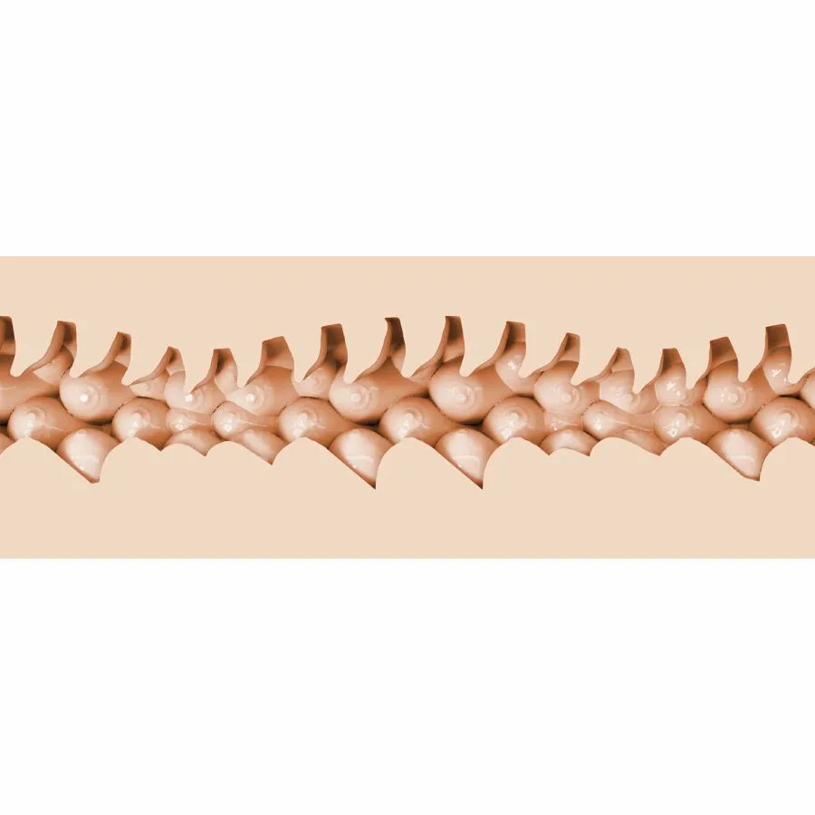 Masturbátor Fleshlight Fantasy Evie Akashiya, tělová barva, červené pouzdro, 25 cm - obrázek 3