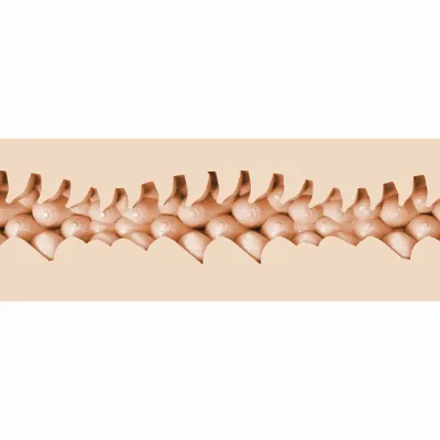 Masturbátor Fleshlight Fantasy Evie Akashiya, tělová barva, červené pouzdro, 25 cm - obrázek 3
