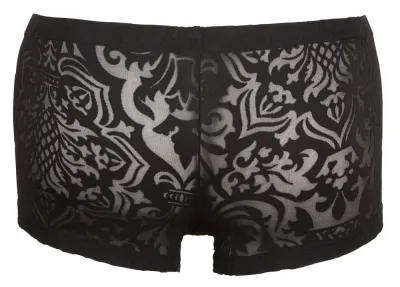 Pánské průhledné slipy Cottelli Collection se vzorem devoré, černé, L - obrázek 5