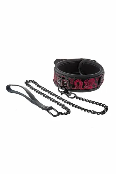 Obojek s vodítkem Dream Toys Blaze Deluxe, nastavitelný, s výšivkou, černý - obrázek 3