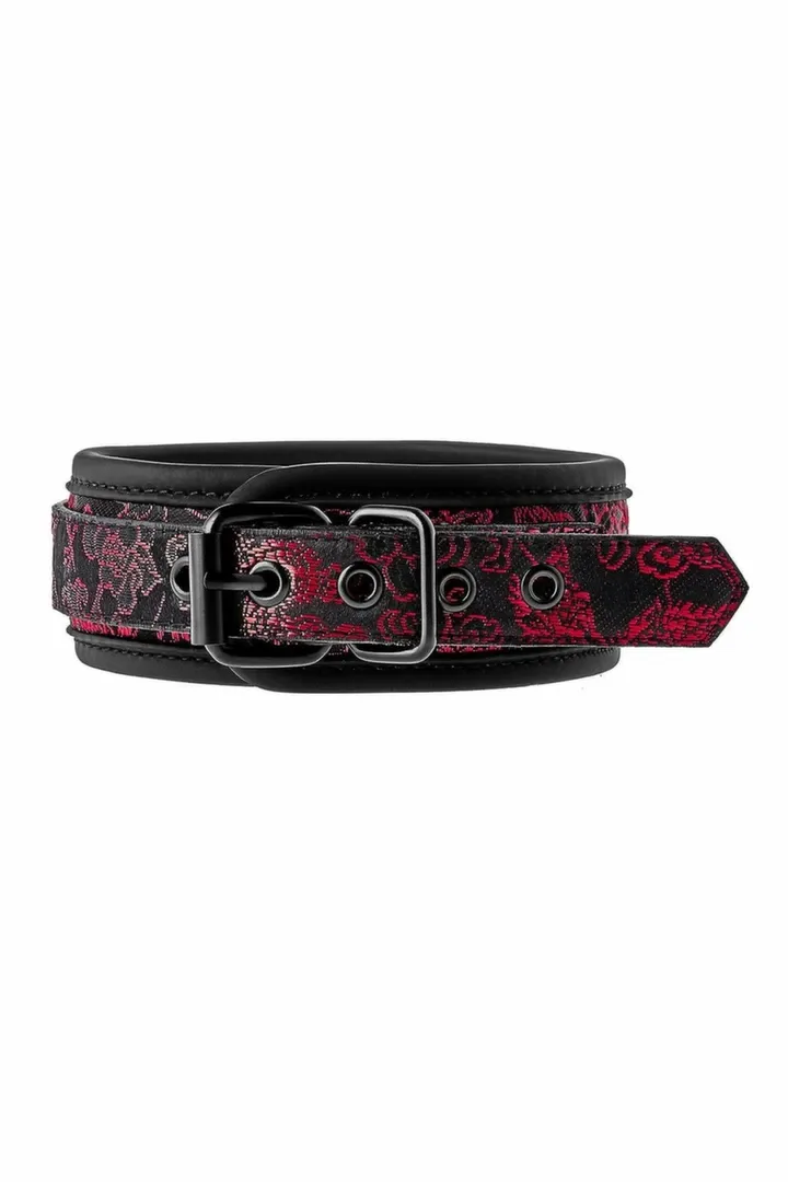 Obojek s vodítkem Dream Toys Blaze Deluxe, nastavitelný, s výšivkou, černý - obrázek 4