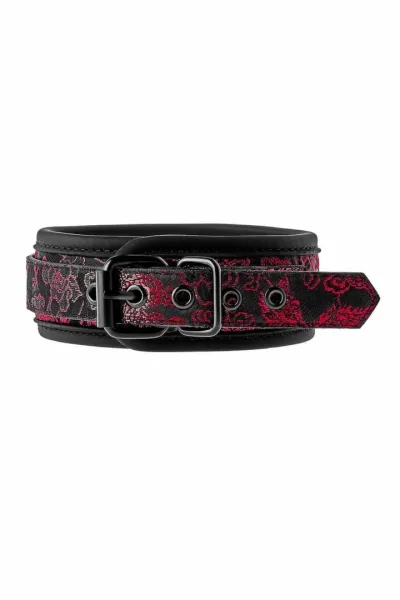 Obojek s vodítkem Dream Toys Blaze Deluxe, nastavitelný, s výšivkou, černý - obrázek 4
