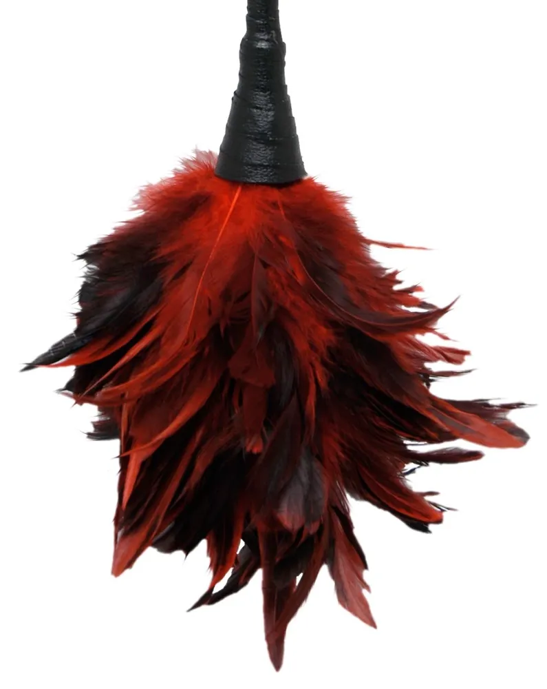 Lechtátko z peří Fetish Fantasy Series Frisky Feather Tickler, černo-červené - obrázek 2