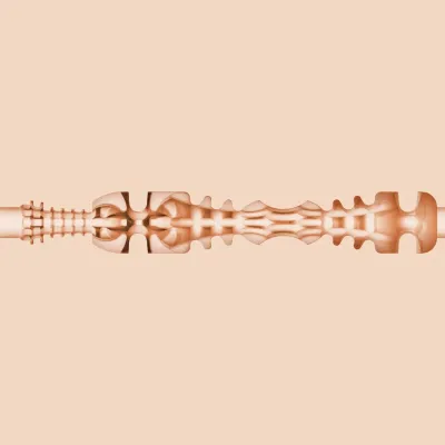 Masturbátor ústa Fleshlight Insomnia Riley Reid Mouth, perleťové pouzdro, 24,7 cm - obrázek 5