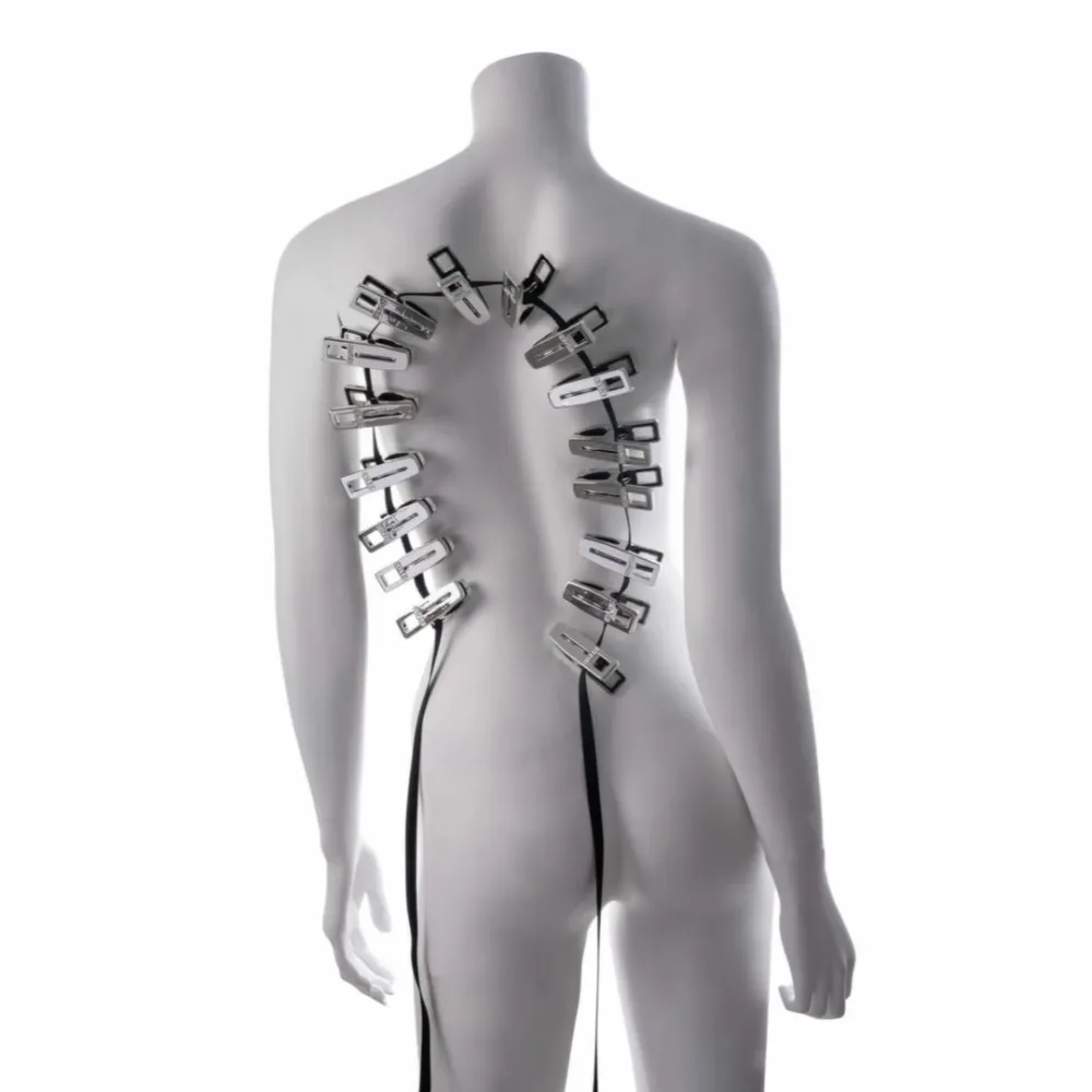 Kolíčkový zip na tělo Sportsheets Edge Body Zipper, 16 kovových kolíčků, stříbrný - obrázek 2